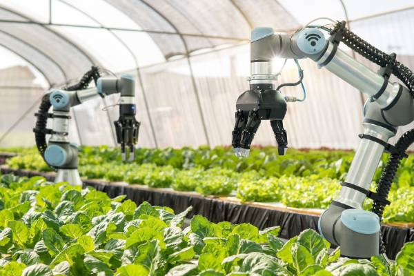 Smart agriculture: Feeding the future